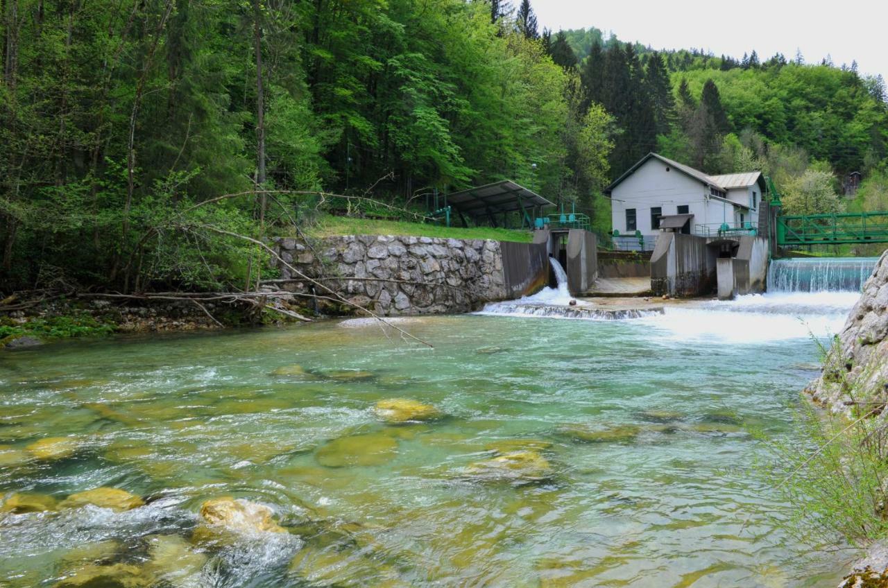 Apartma Marjetica Ii. Blejska Dobrava Экстерьер фото